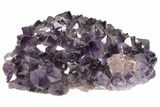 Dark Purple Amethyst Cluster - Large, Sparkly Points #211961-1
